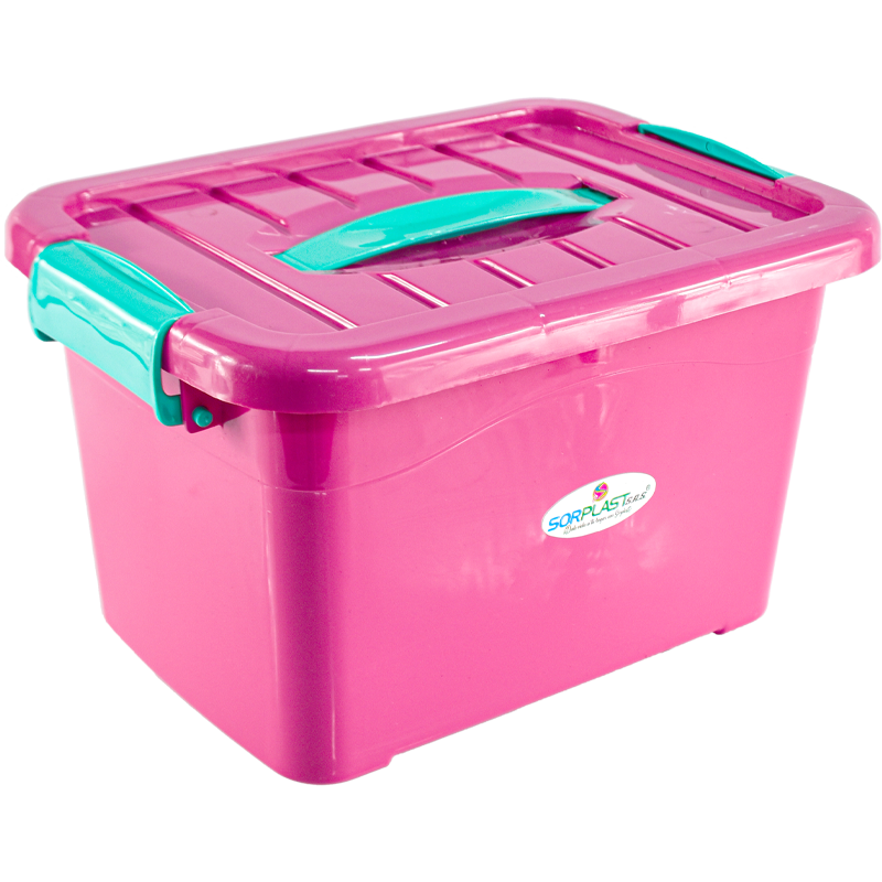 Caja organizadora con manija 6 Lt No. 2